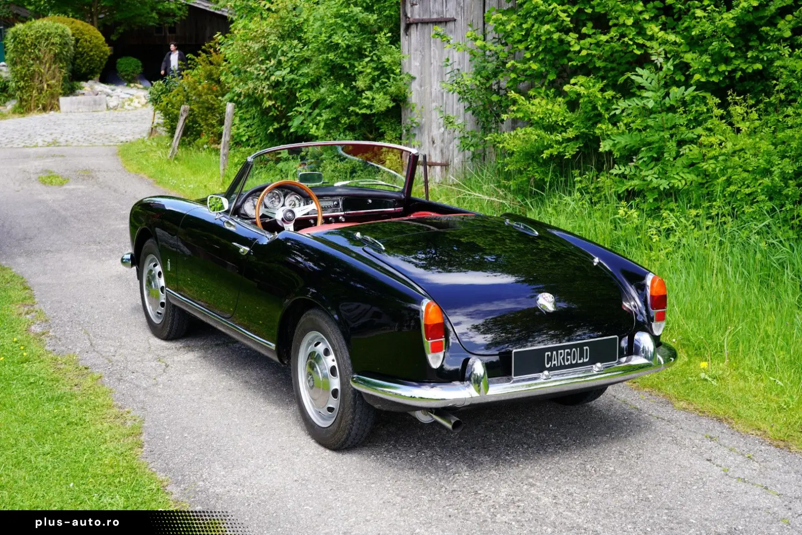 ALFA ROMEO Giulia Spider Veloce 1600cc  restauriert!