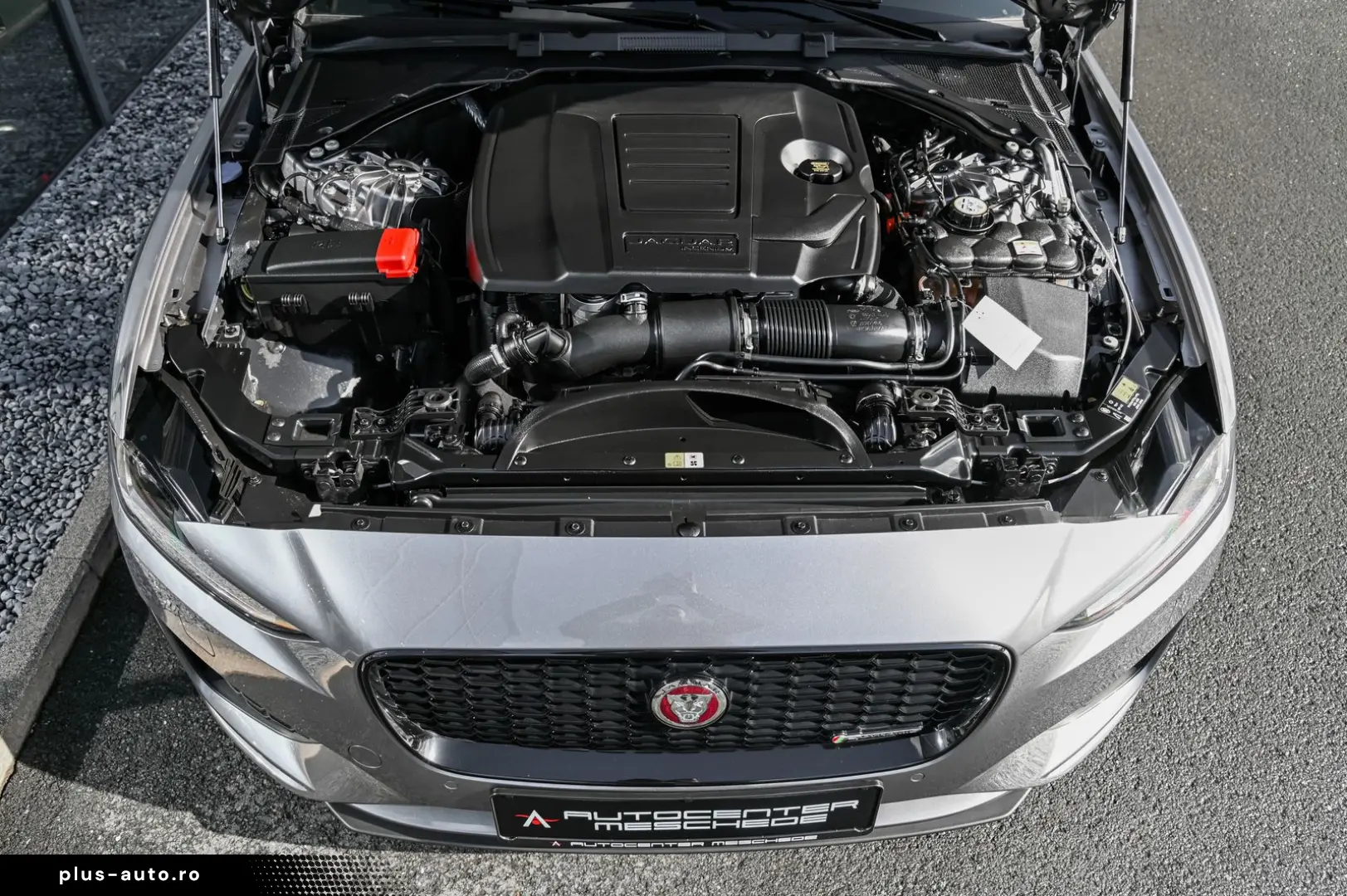JAGUAR XE P250 Edition R-Dynamic Black Pack  Meridian