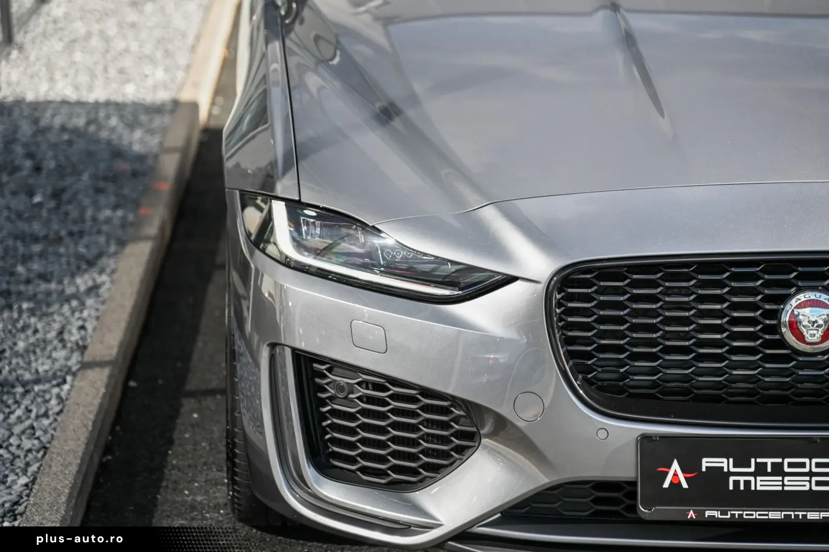 JAGUAR XE P250 Edition R-Dynamic Black Pack  Meridian