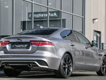 JAGUAR XE P250 Edition R-Dynamic Black Pack  Meridian