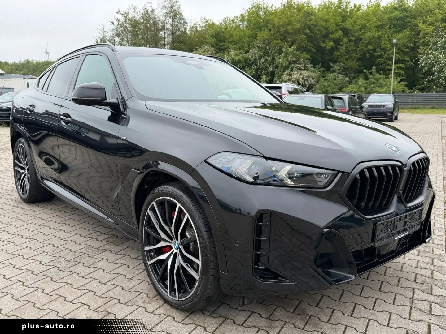 BMW X6 40i xDrive M Sport R22