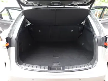 LEXUS NX 450h  E-FOUR Luxury Relax Garantie