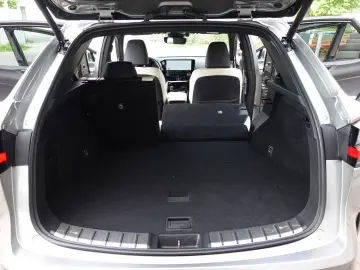 LEXUS NX 450h  E-FOUR Luxury Relax Garantie