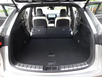 LEXUS NX 450h  E-FOUR Luxury Relax Garantie