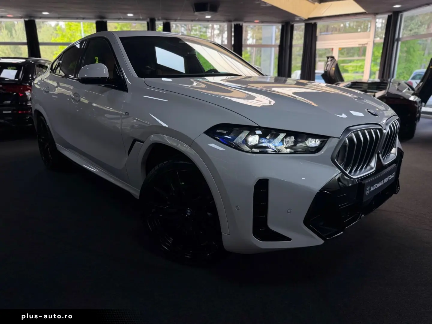BMW X6 30 d xDrive M Sport Panorama Hud 360 Memory