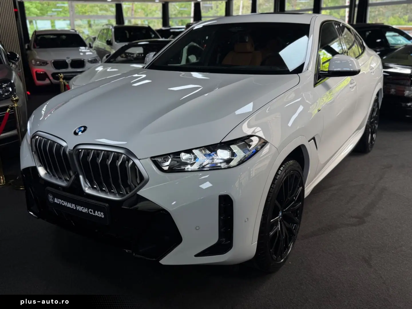 BMW X6 30 d xDrive M Sport Panorama Hud 360 Memory