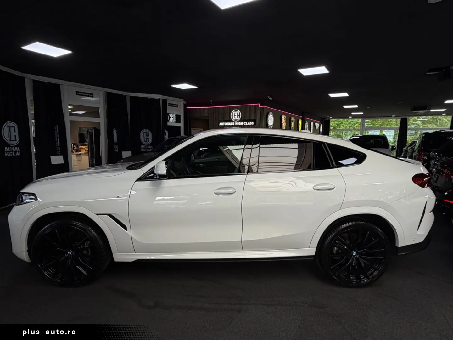BMW X6 30 d xDrive M Sport Panorama Hud 360 Memory