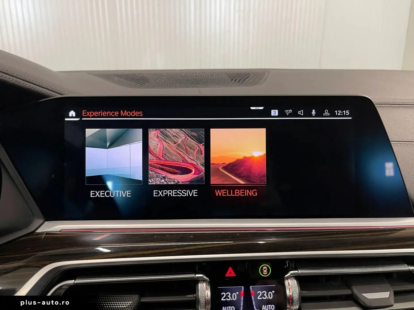 Bmw X-7