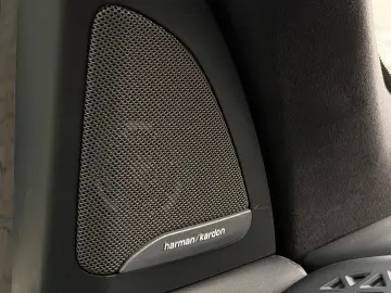 Bmw X-7