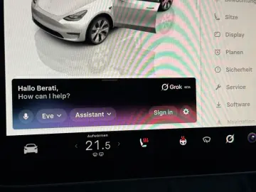 TESLA Model Y Premium Lang Range Allrad 581km 93%  AHK