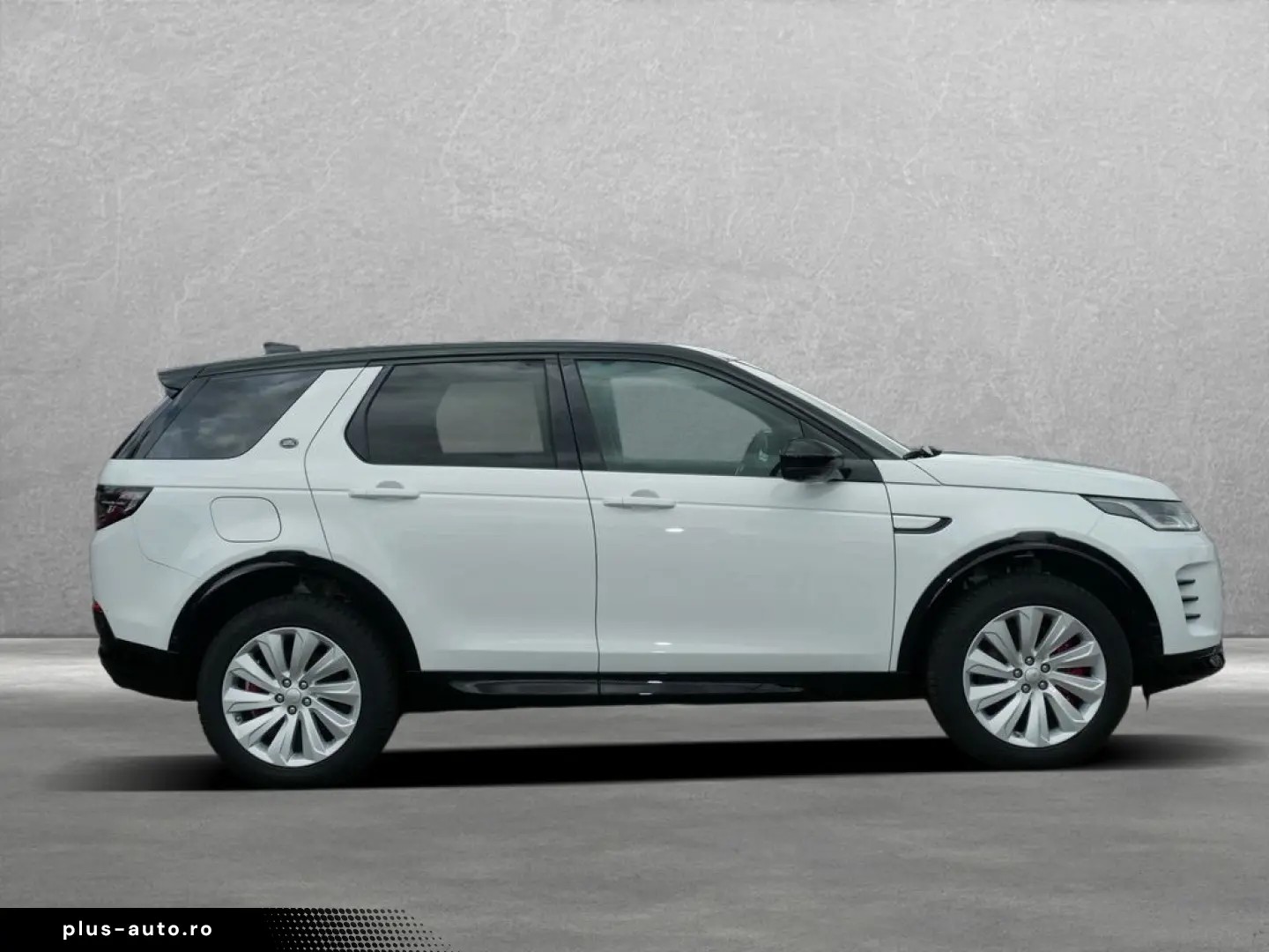 LAND ROVER Discovery Sport D200 Dynamic SE AHK Winter Merid