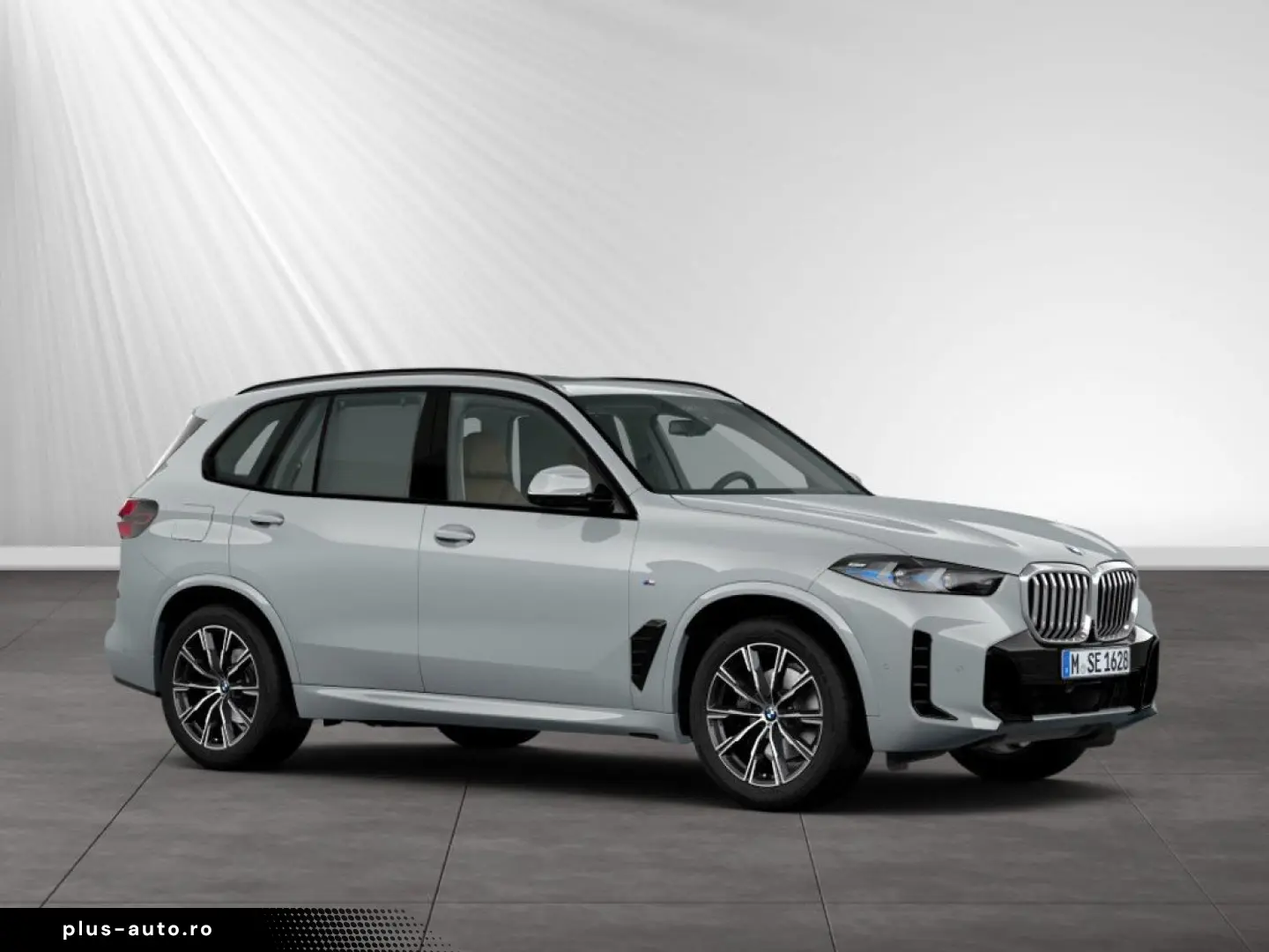 BMW X5 xDrive30d M Sport AHK Panorama Standhzg.