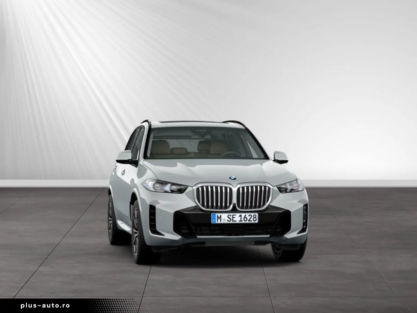 BMW X5 xDrive30d M Sport AHK Panorama Standhzg.