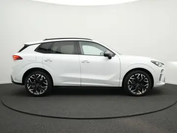 CUPRA Terramar VZ 2.0TSI 4Drive DSG  PANO AHK KAM 20
