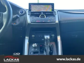Lexus NX 300 h E-Four F-Sport