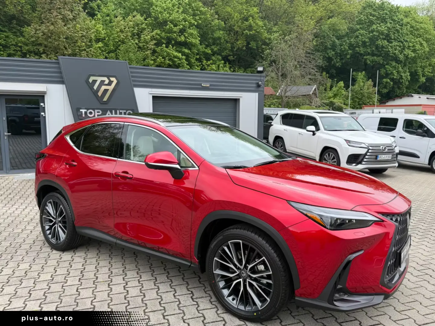 Lexus NX 450h NX 450 h Luxury.HUD