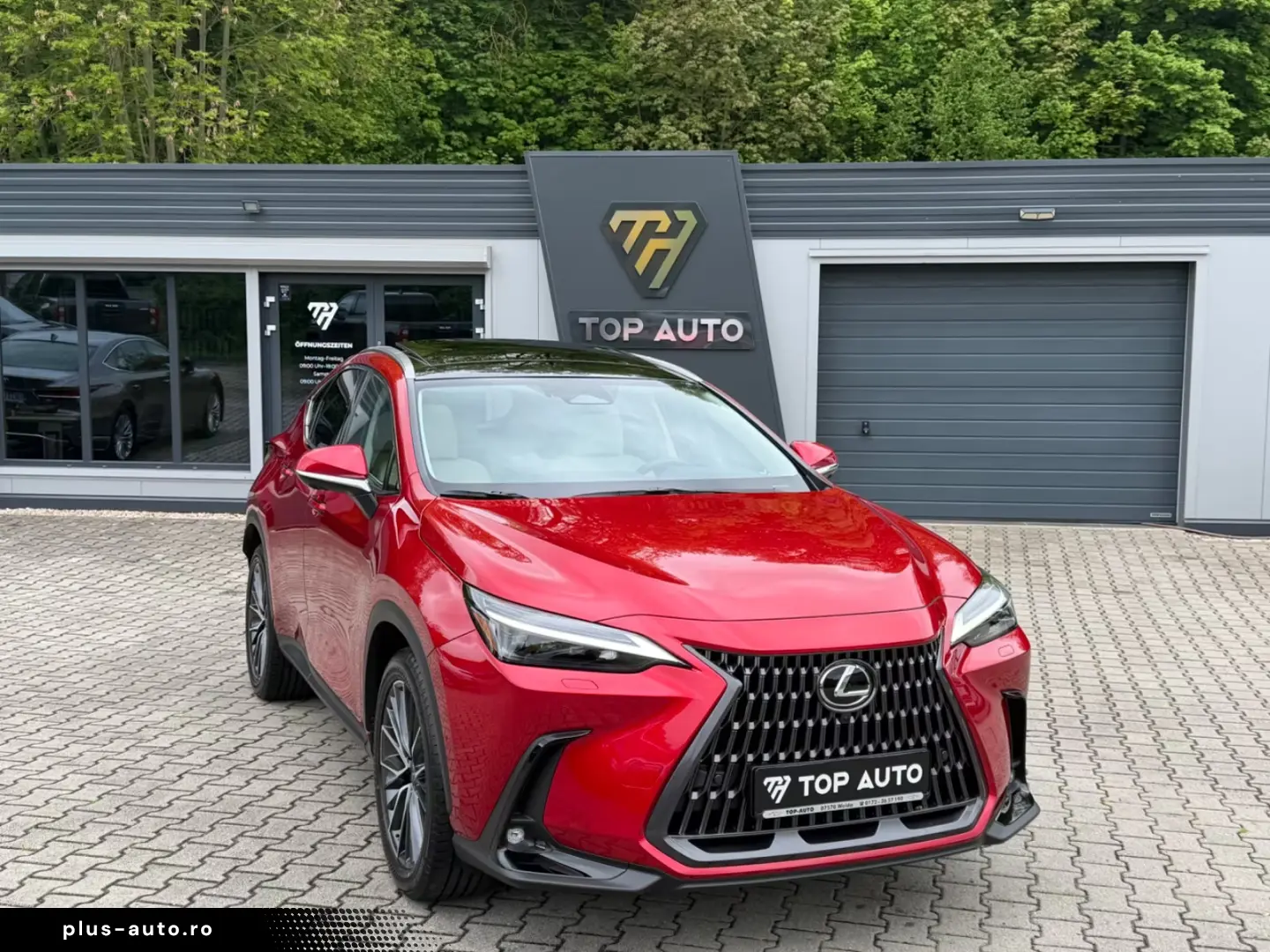 Lexus NX 450h NX 450 h Luxury.HUD