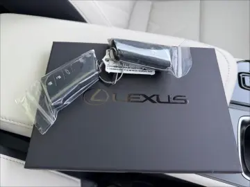 Lexus NX 450h NX 450 h Luxury.HUD