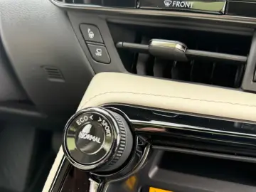Lexus NX 450h NX 450 h Luxury.HUD