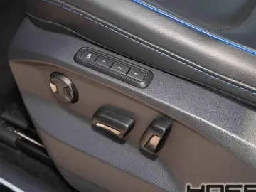 VW Tiguan R 2.0 TSI DSG 4M Leder Pano Kamera H-K So
