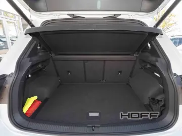VW Tiguan R 2.0 TSI DSG 4M Leder Pano Kamera H-K So