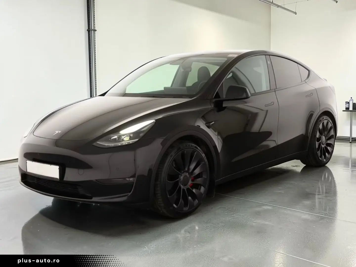 Tesla Model Y Performance