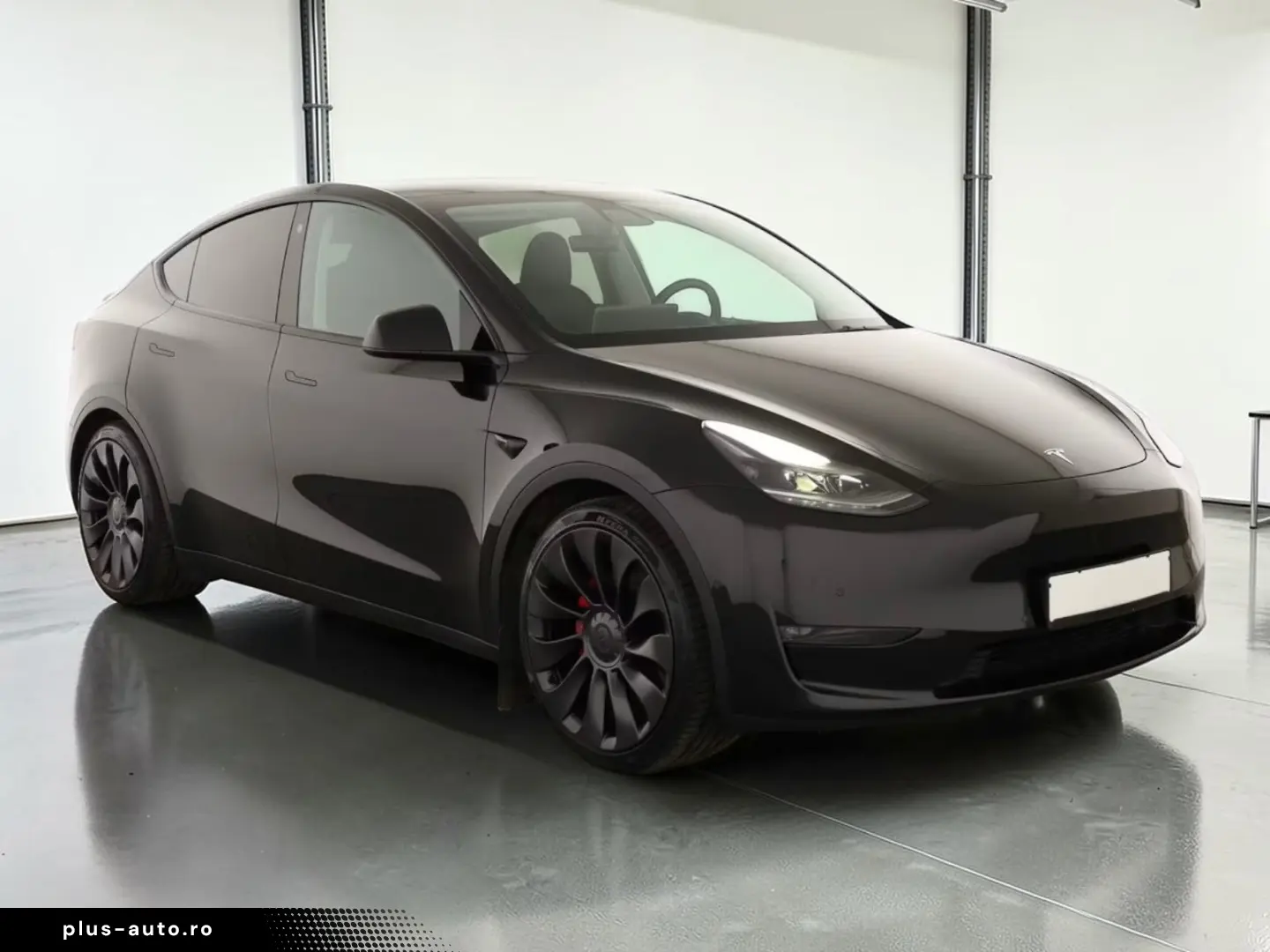Tesla Model Y Performance