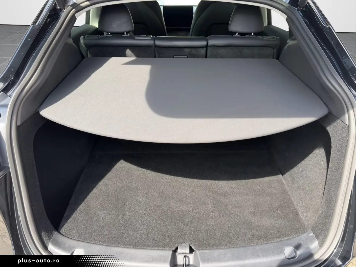 Tesla Model Y Performance
