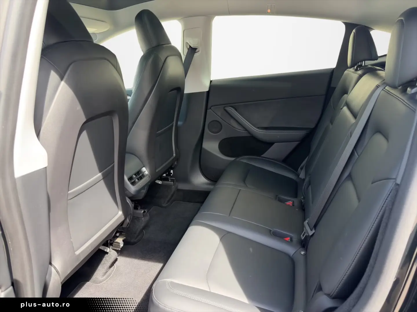 Tesla Model Y Performance