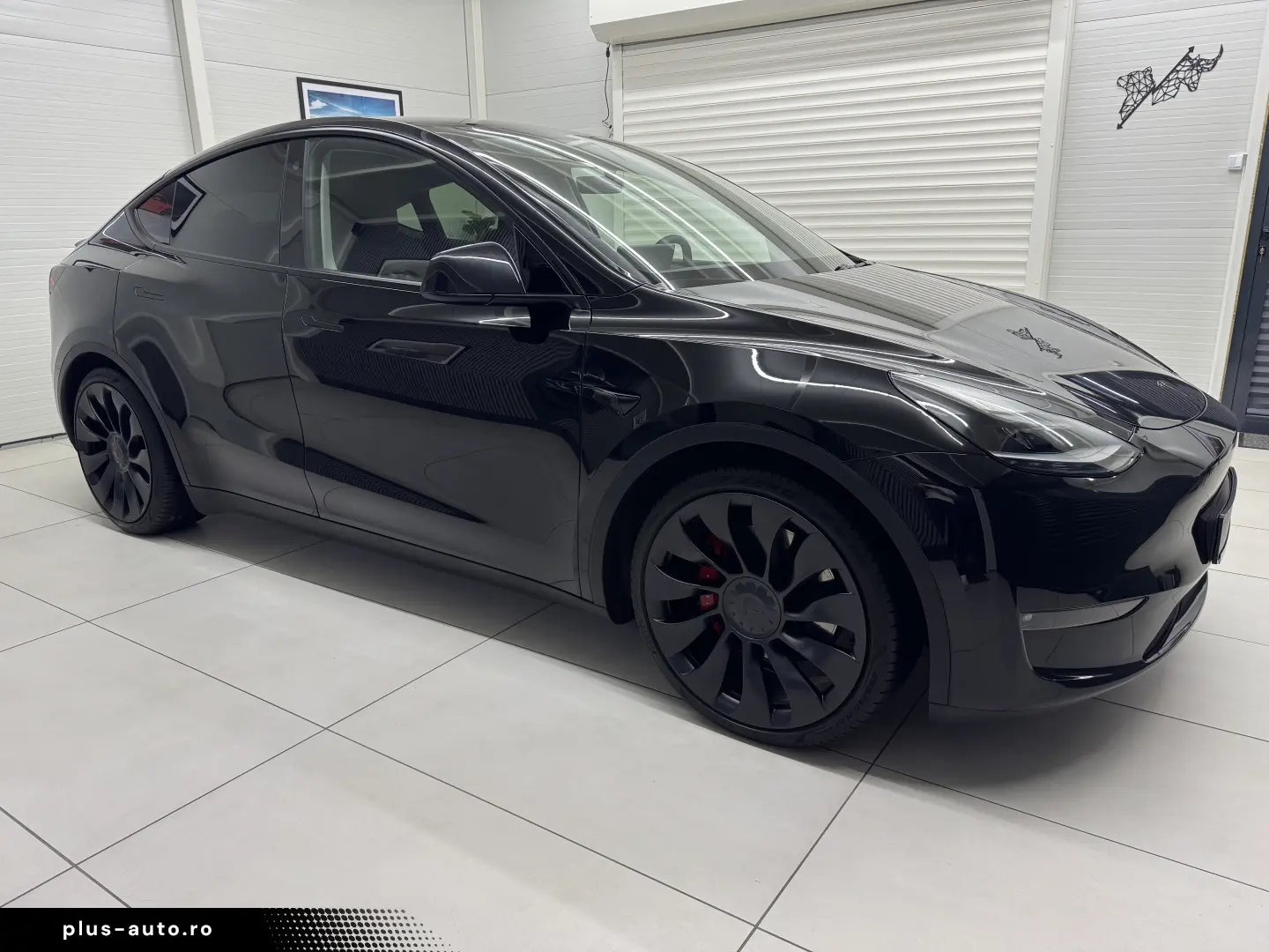 Tesla Model Y Performance