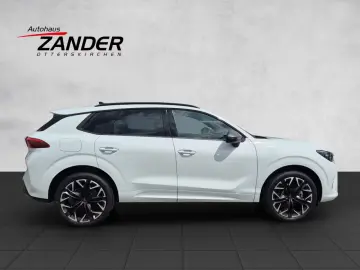 Cupra Terramar 2.0 TSI 204 PS DSG 4Drive Edge Paket