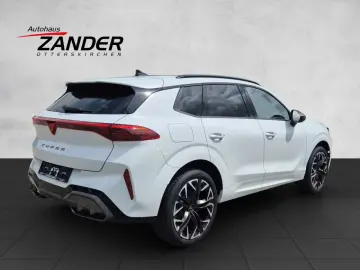 Cupra Terramar 2.0 TSI 204 PS DSG 4Drive Edge Paket