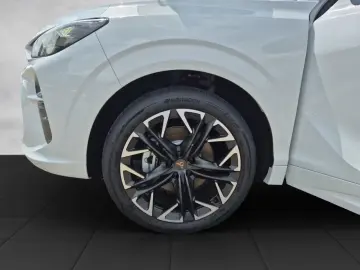 Cupra Terramar 2.0 TSI 204 PS DSG 4Drive Edge Paket