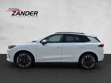 Cupra Terramar 2.0 TSI 204 PS DSG 4Drive Edge Paket