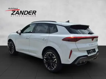 Cupra Terramar 2.0 TSI 204 PS DSG 4Drive Edge Paket