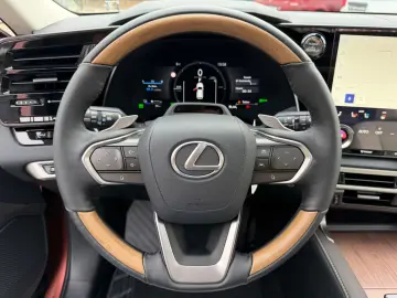 Lexus RX 450 h E-Four Luxury.360 Kam.AWD