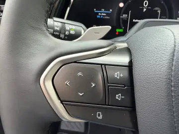 Lexus RX 450 h E-Four Luxury.360 Kam.AWD