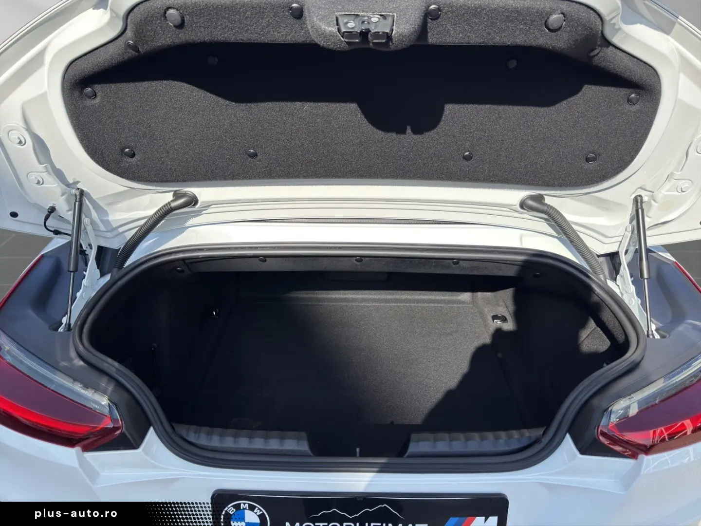 BMW Z4 sDrive20i Roadster M Sport 6-Gang H&K 19