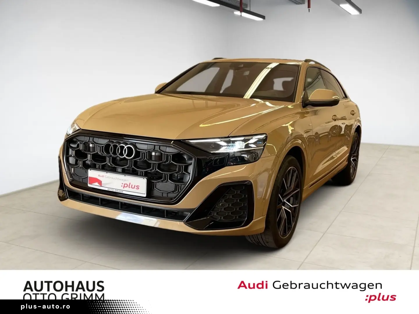 AUDI Q8 50 TDI quattro S-line plus Pano 360 Matrix