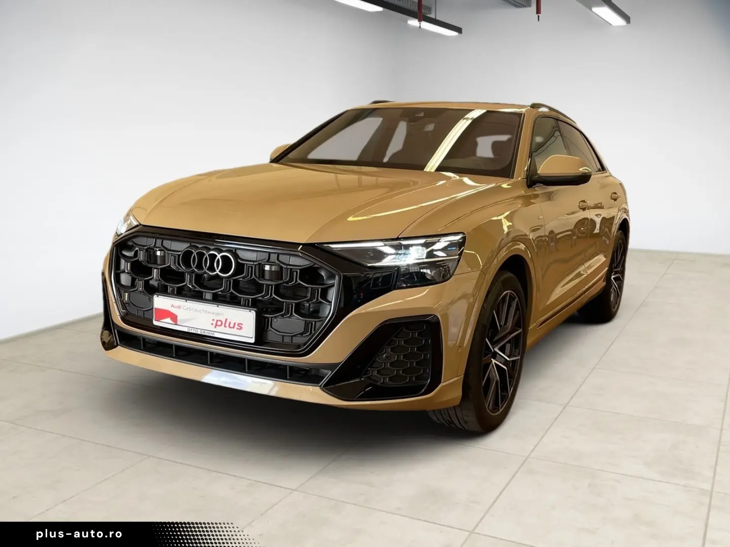 AUDI Q8 50 TDI quattro S-line plus Pano 360 Matrix