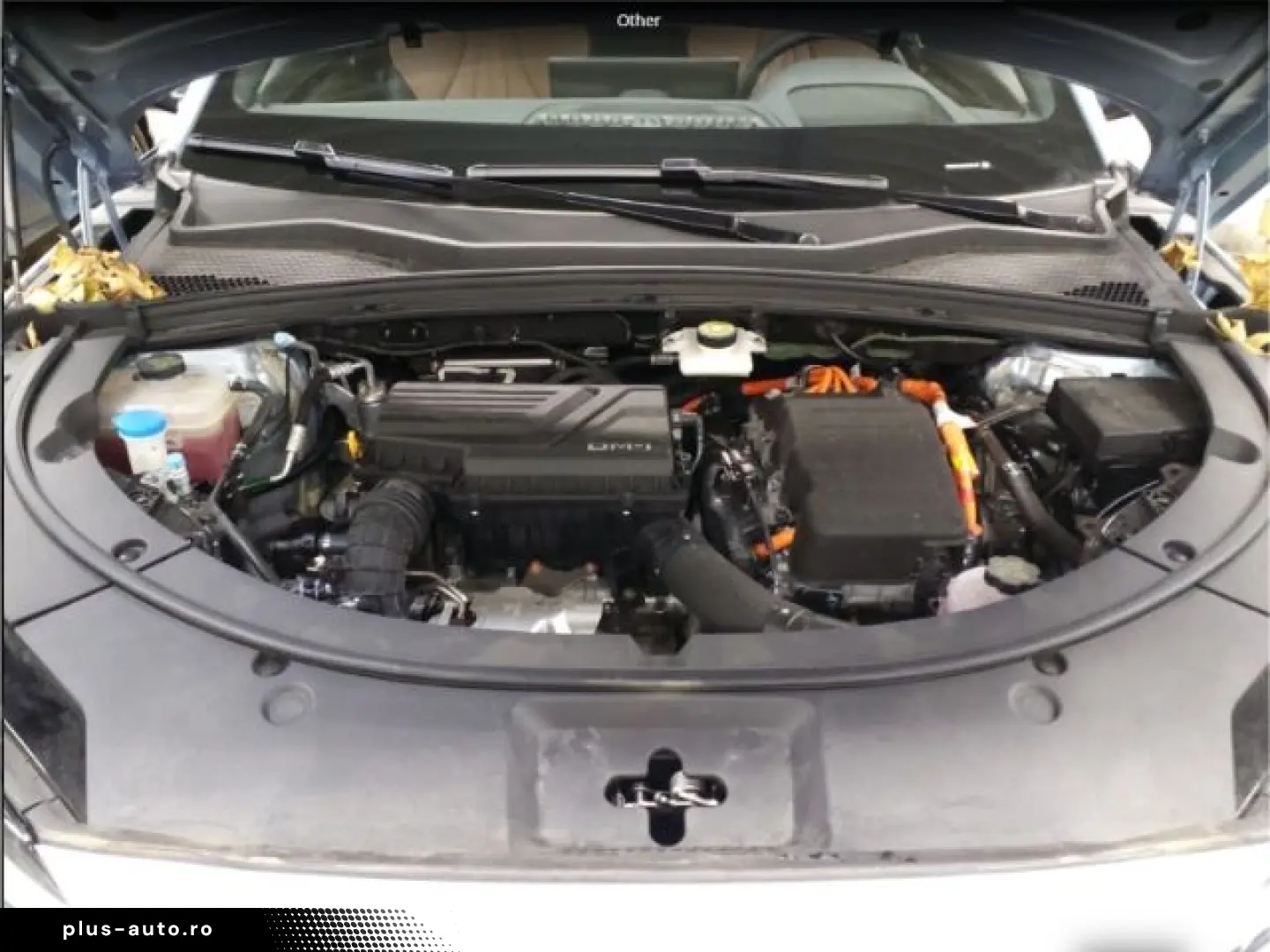 BYD Seal U PHEV 1.5 Design (238 kW 324 PS) Panorama