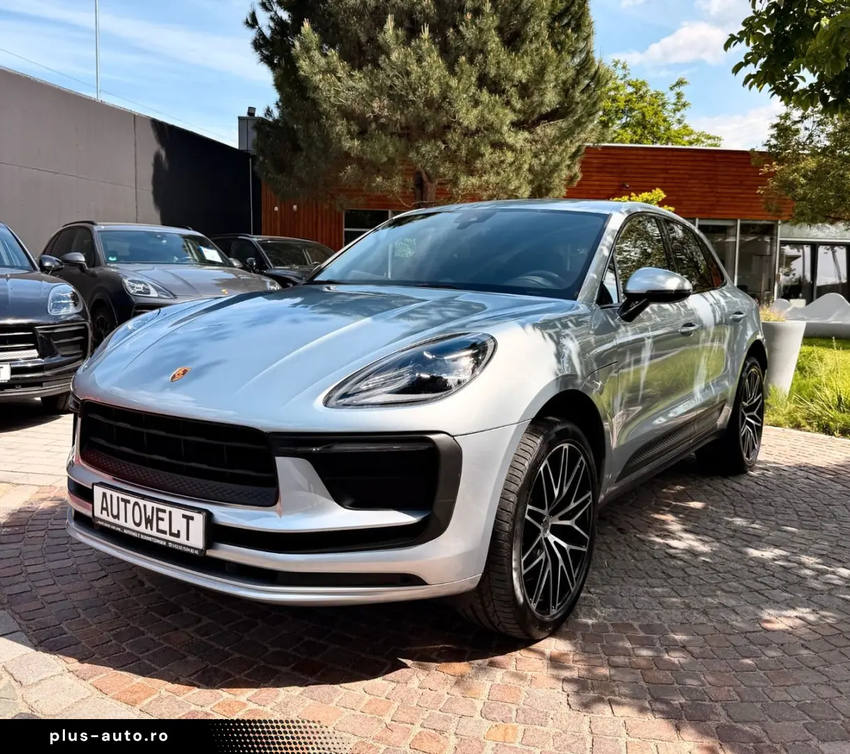 PORSCHE Macan 1.Hand 21   Chrono Lenkradheizbar Kamera