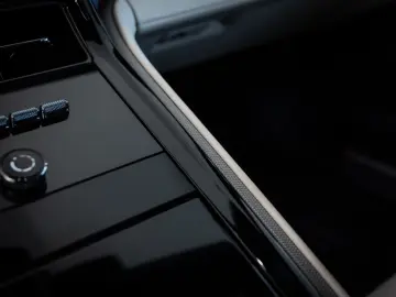PORSCHE Panamera 4 Panodach Beifahrerdisplay Luft 21