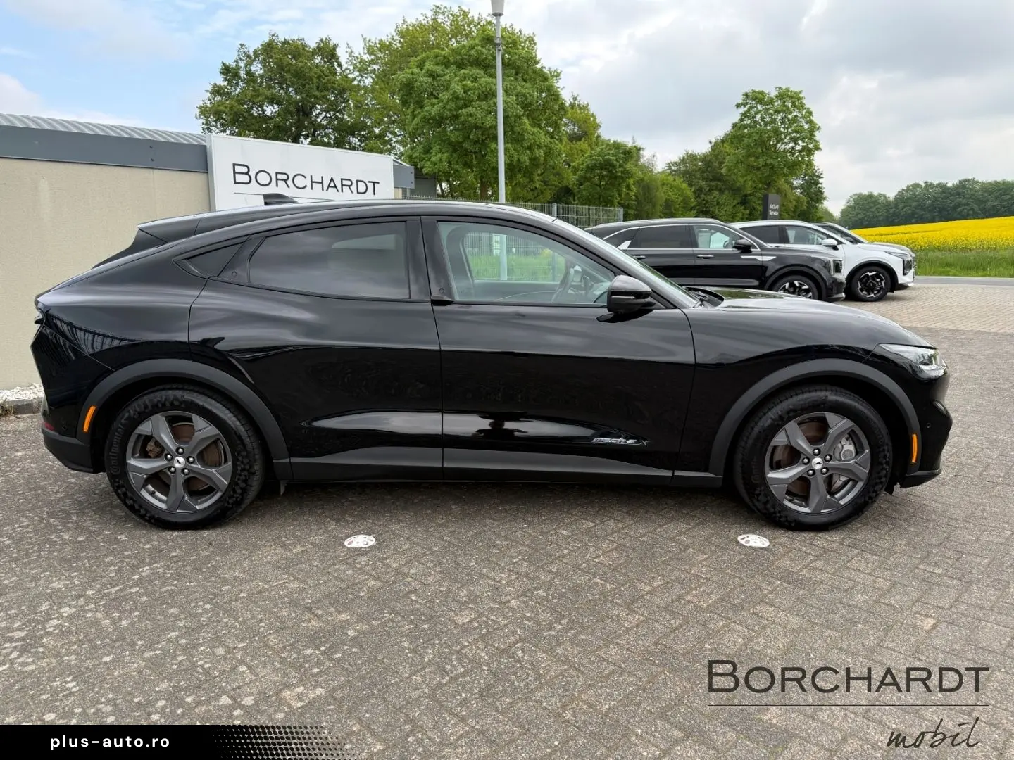 FORD Mustang MACH-E RWD 294PS Ext.Range B&O Tech 1 36