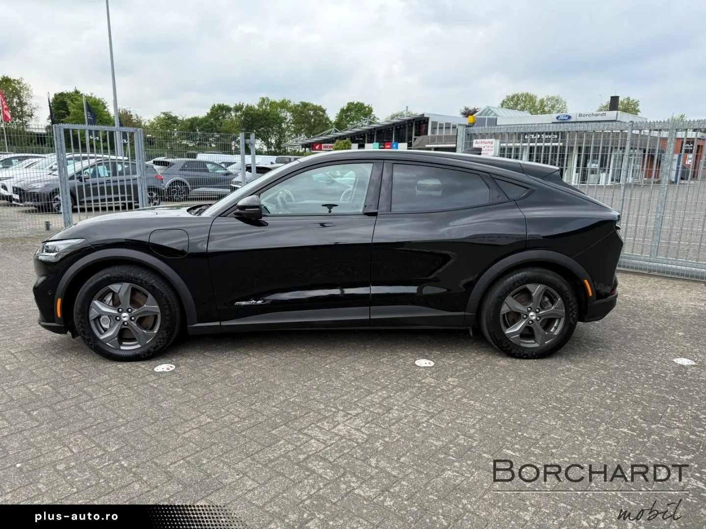 FORD Mustang MACH-E RWD 294PS Ext.Range B&O Tech 1 36