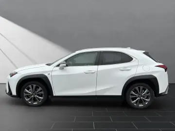 LEXUS UX 250h F-SPORT-D. 1.HD ALLW.REIF   15J-GARANTIE