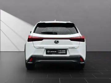 LEXUS UX 250h F-SPORT-D. 1.HD ALLW.REIF   15J-GARANTIE