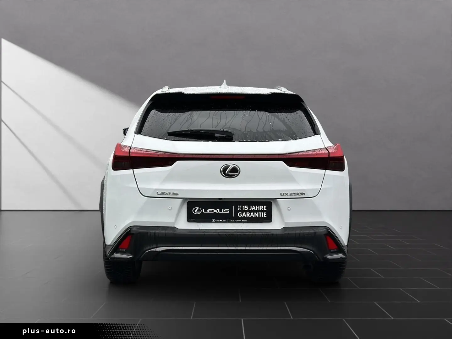 LEXUS UX 250h F-SPORT-D. 1.HD ALLW.REIF   15J-GARANTIE