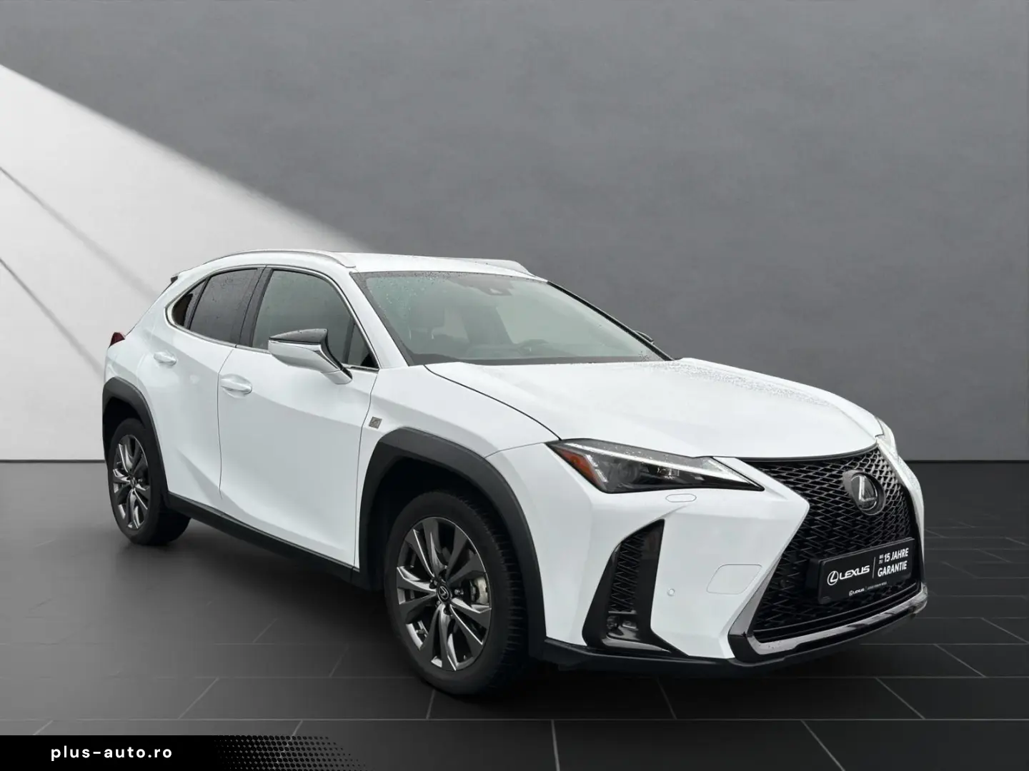 LEXUS UX 250h F-SPORT-D. 1.HD ALLW.REIF   15J-GARANTIE