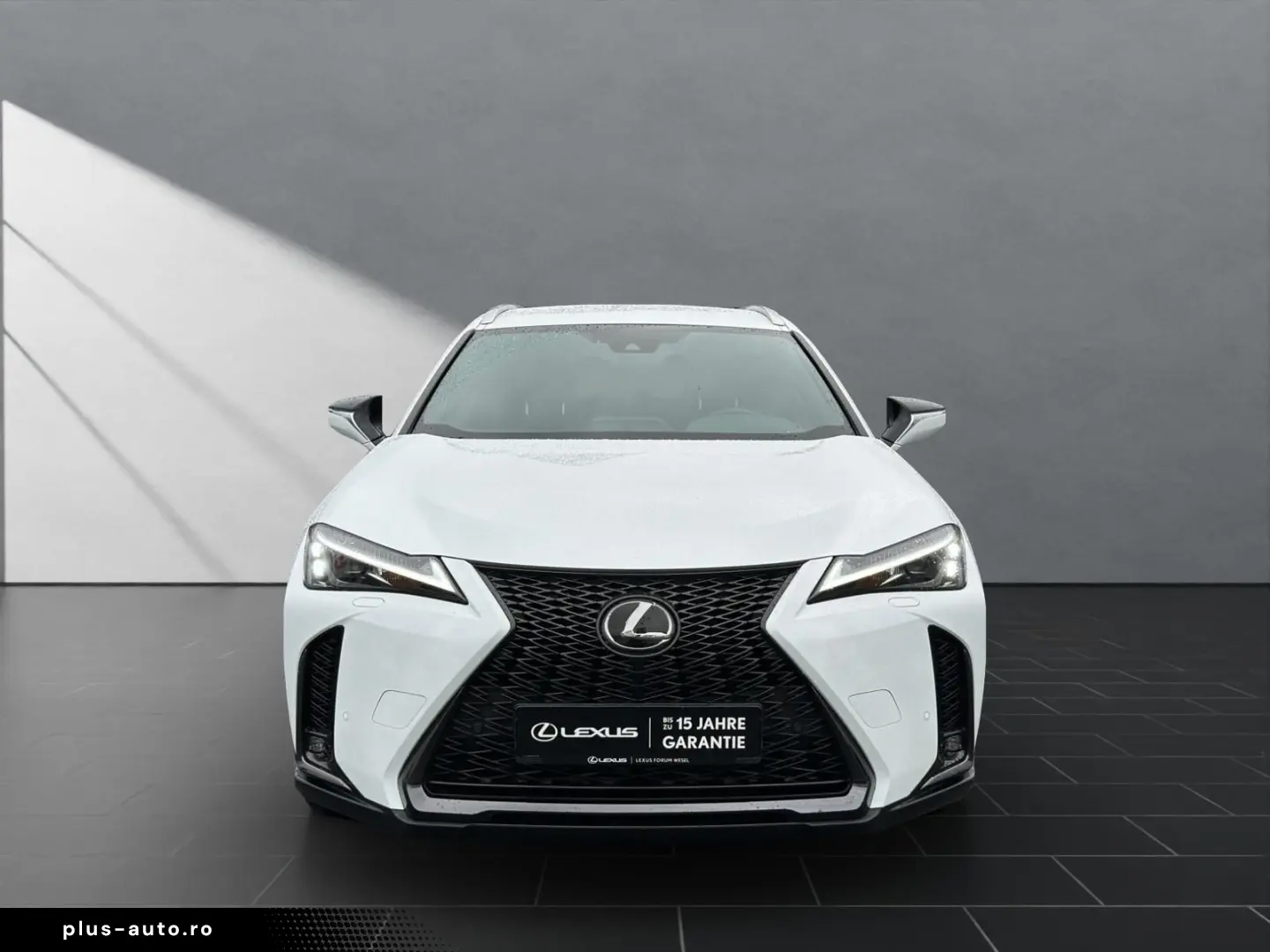 LEXUS UX 250h F-SPORT-D. 1.HD ALLW.REIF   15J-GARANTIE